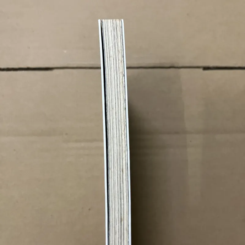 Lúc nào cũng là quá muộn 1019508