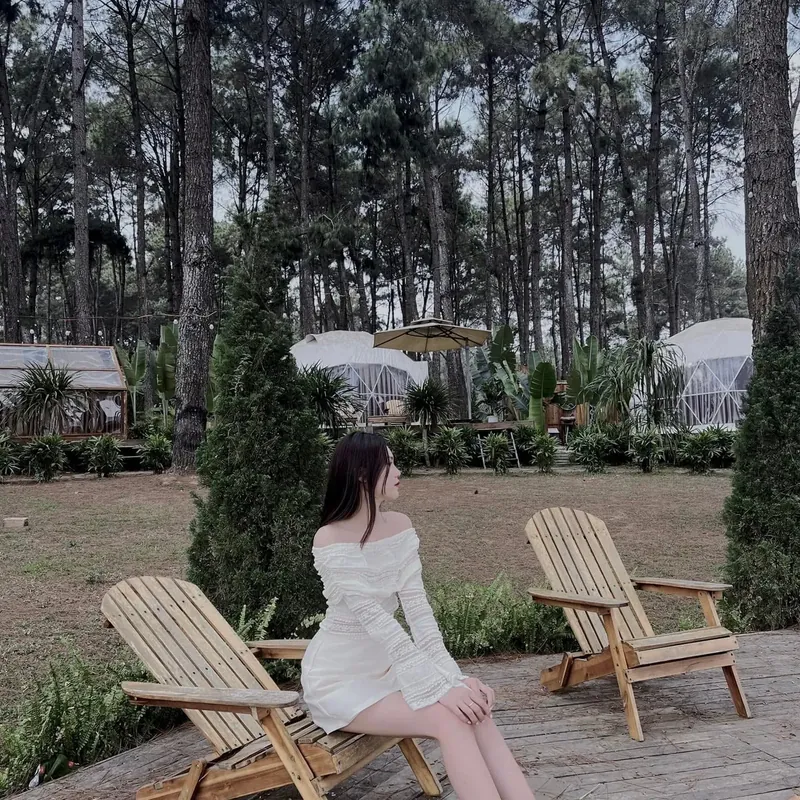 Sét áo , váy  575602