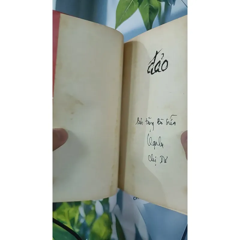 Đảo - Nguyễn Ngọc Tư 798398