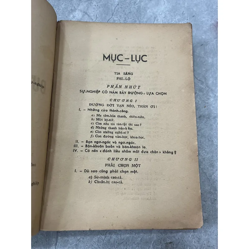 BẠN GÁI TRÊN ĐƯỜNG SỰ NGHIỆP - HOÀNG XUÂN VIỆT 798875