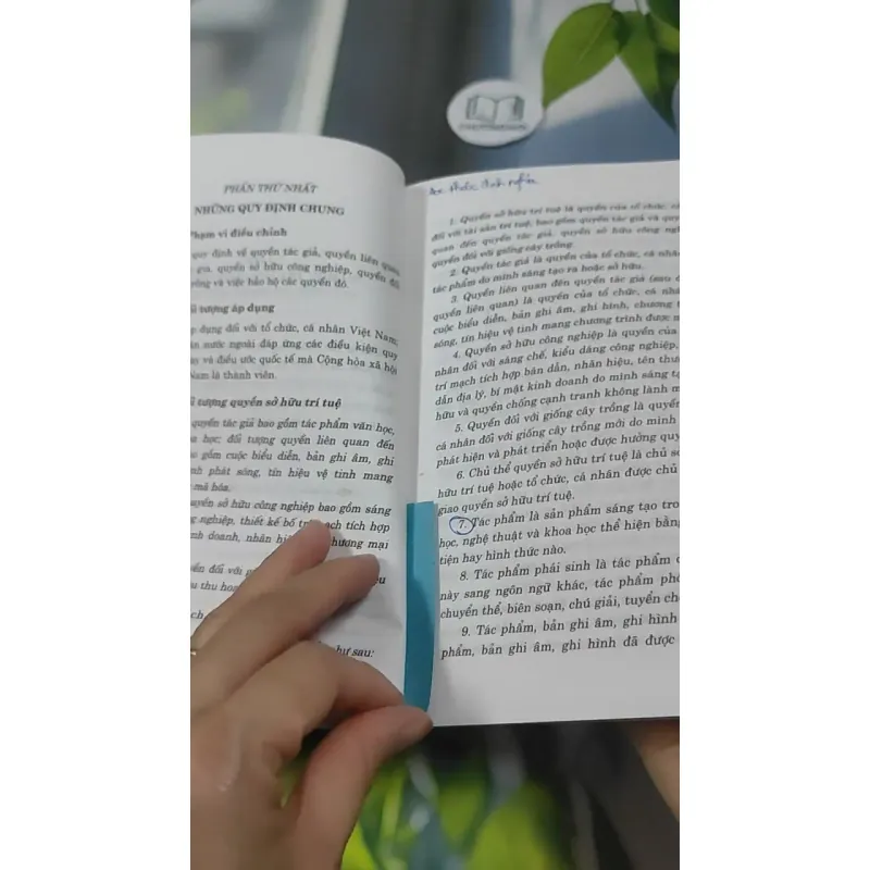 Luật Sở Hữu Trí Tuệ Và Nghị Định Hướng Dẫn Về Quyền Tác Giả, Quyền Liên Quan 727366