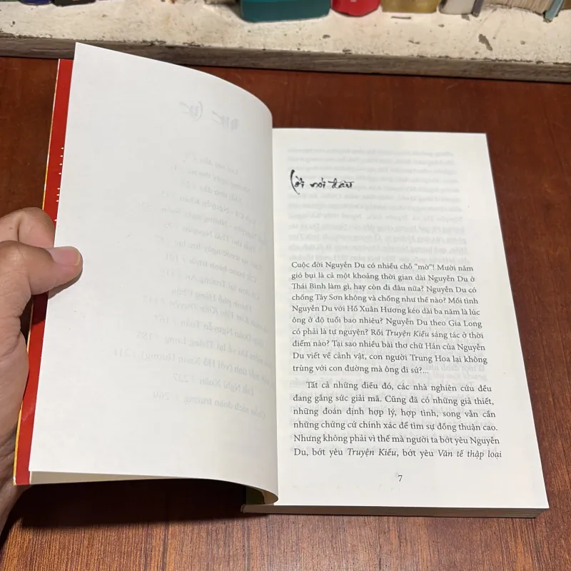 II Văn Học: Nguyễn Du _ Trên Đường Gió Bụi - Hoàng Khôi - 2002 801119