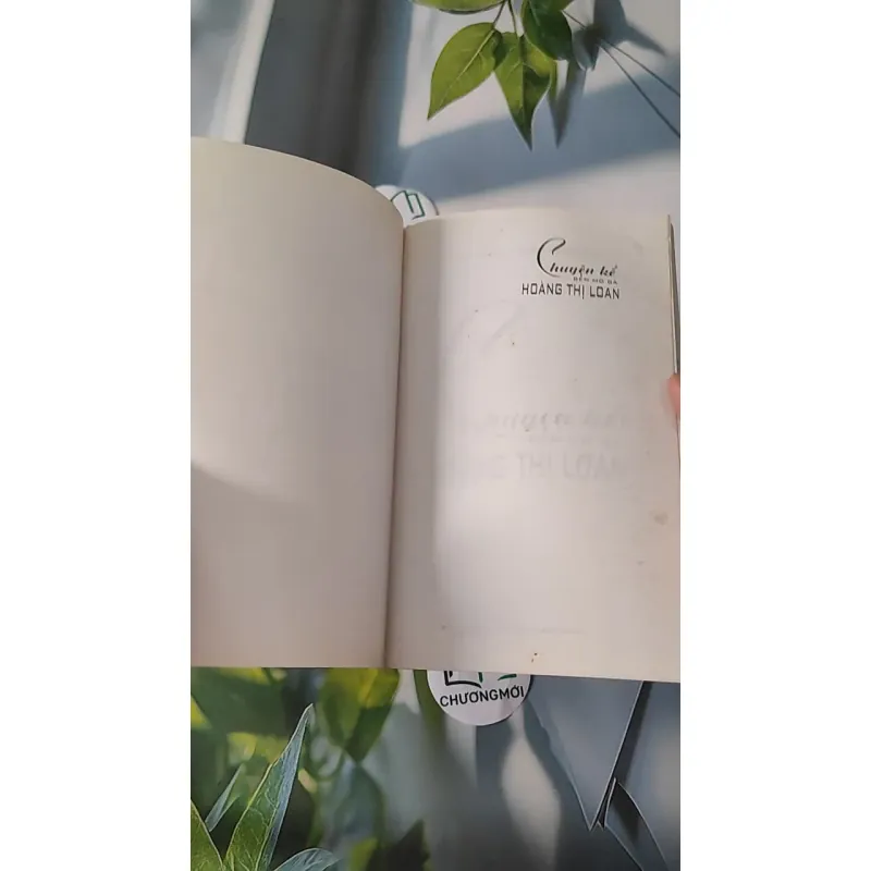 Chuyện Kể Bên Mộ Bà Hoàng Thị Loan - Bá Ngọc & Trần Minh Siêu 970231