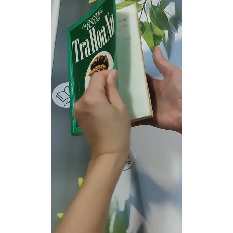 Trà Hoa Nữ 674981