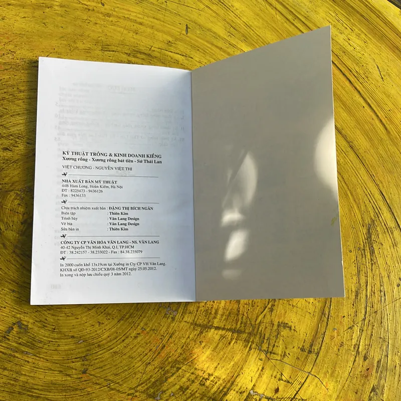 KỸ THUẬT TRỒNG &KINH DOANH KIỂNG- XƯƠNG RỒNG, , SỨ THÁI LAN- VIẾT CHƯƠNG- NGUYỄN VIỆT THI 686832