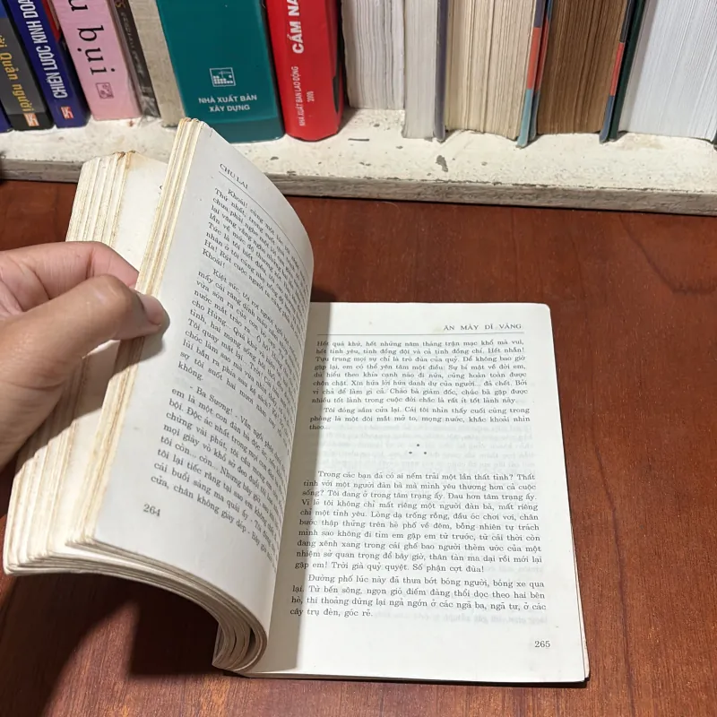 II Tiểu Thuyết: Ăn Mày Dĩ Vãng - Chu Lai - 2001 746168