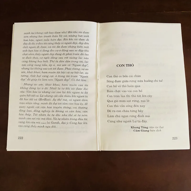 Thơ của các nhà thơ dân tộc thiểu số  697259