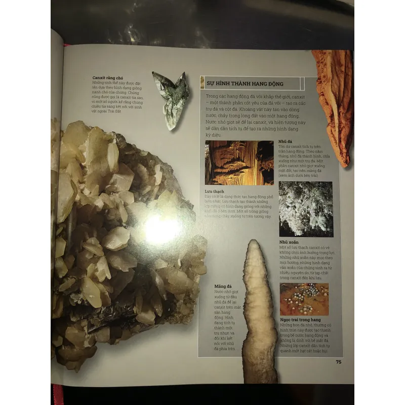 Đá quý và khoáng sản - Bách khoa toàn thư bằng hình ảnh với hơn 1000 mẫu vật  718393