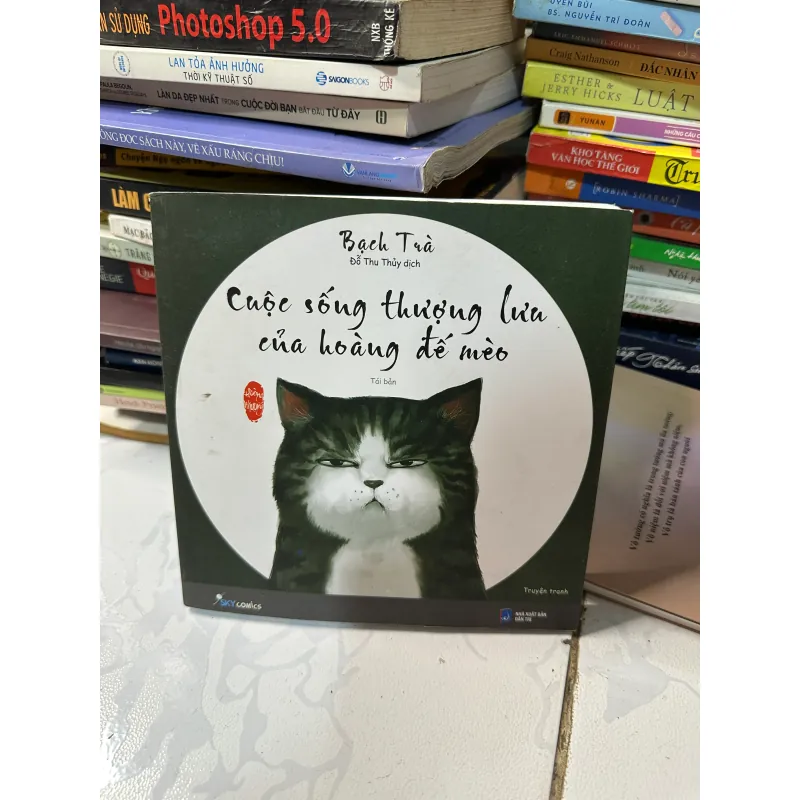 Cuộc sống thượng lưu của hoàng đế mèo 972746