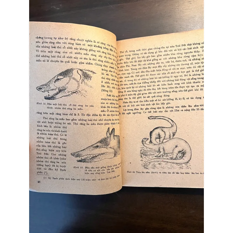 📖 Đời sống các loài thú (xb 1972) 565178