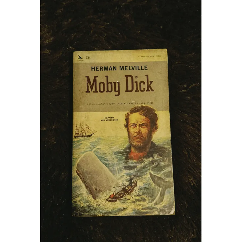 Moby Dick (English) 698197