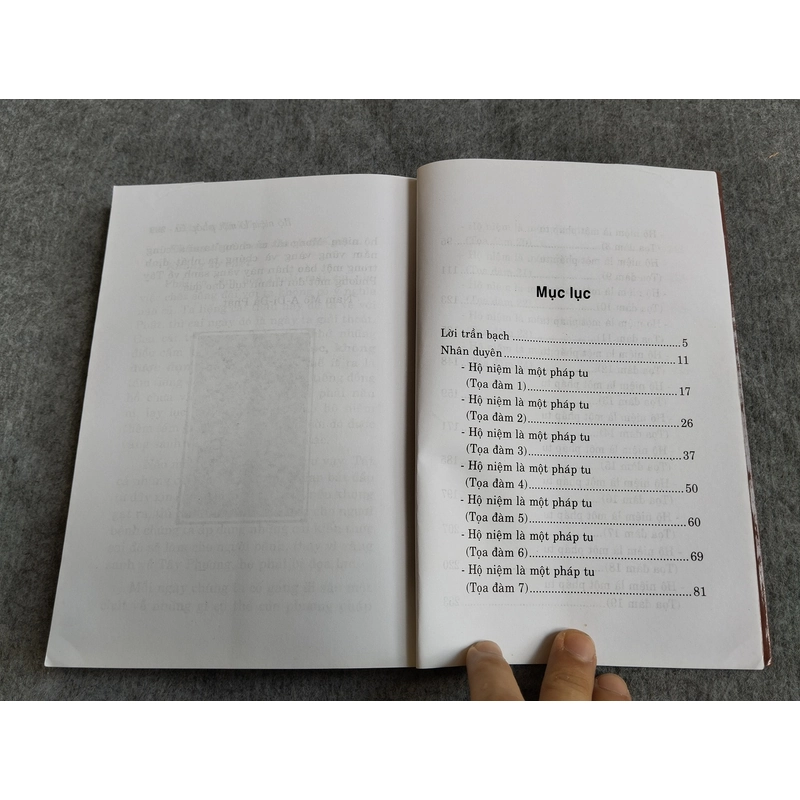 HỘ NIỆM LÀ MỘT PHÁP TU 549087