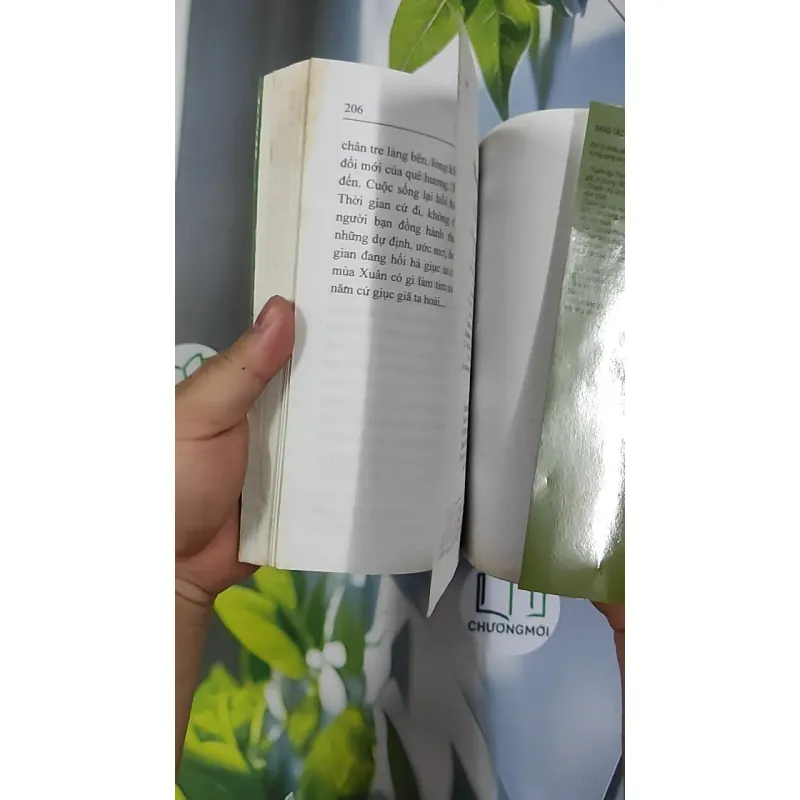 Mưa tháng giêng - Vũ Hoàng Luyến 798421