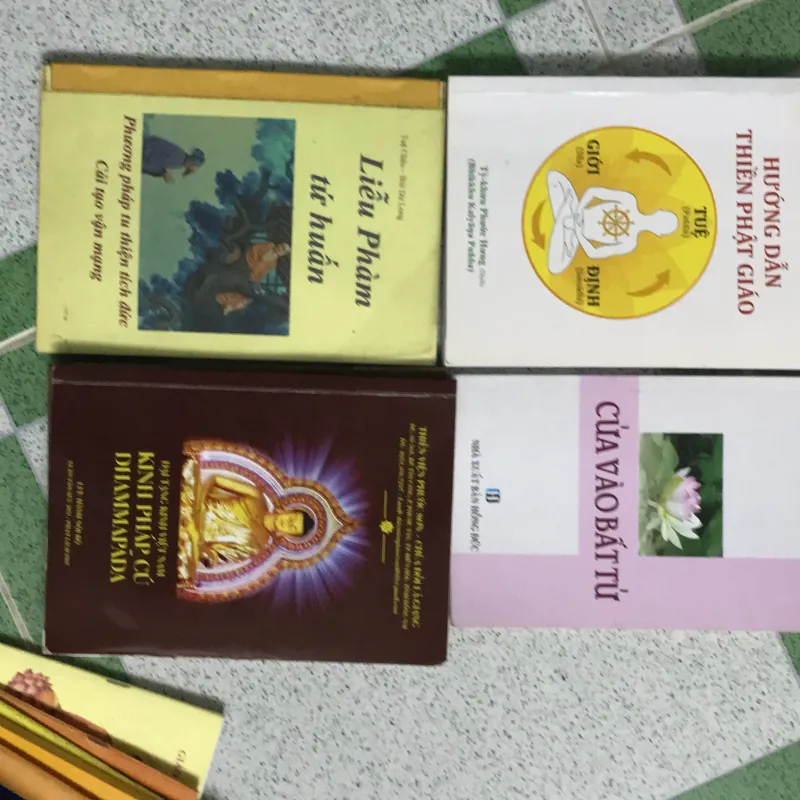 Combo 4 cuống 50k 1031173