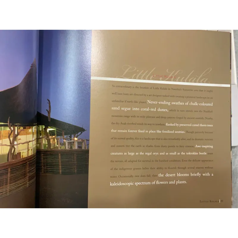 THE NEW SAFARI: DESIGN, DECOR, DETAIL 752181