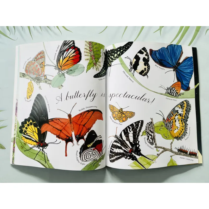 A Butterfly Is Patient – Dianna Hutts Aston & Sylvia Long 690108