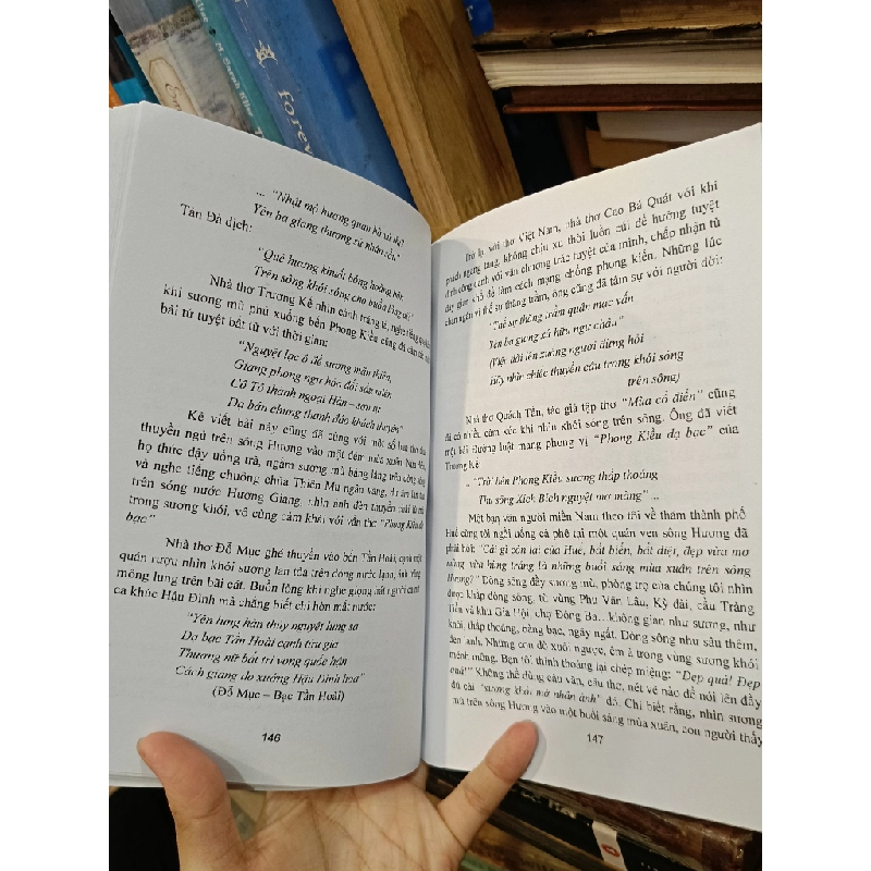 Tản văn chọn lọc: "Tình nghĩa sụt giá" - Phong Sơn 449095