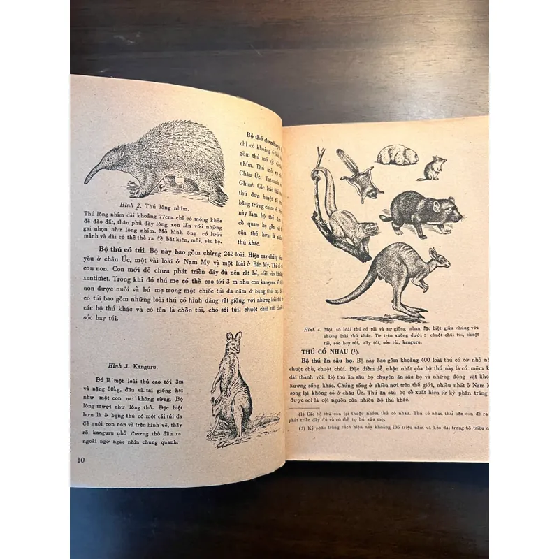 📖 Đời sống các loài thú (xb 1972) 565178