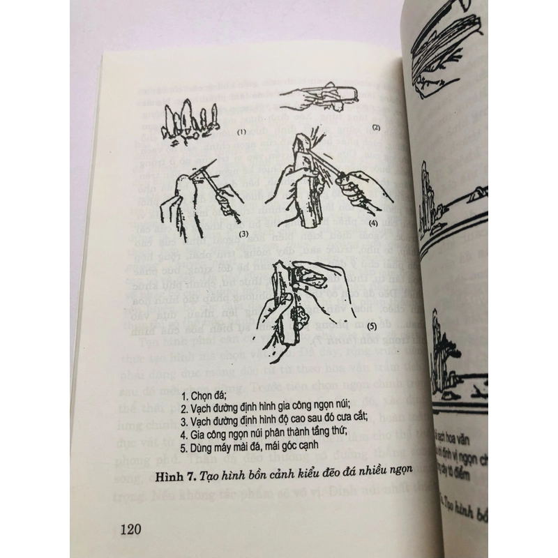 CẨM NANG BON SAI 447858