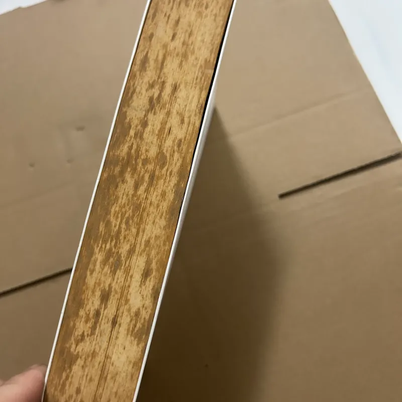 Gió mang ký ức thổi thành những cánh hoa 562981