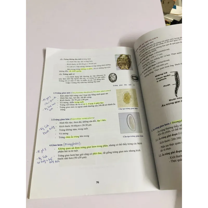 THỰC TẬP VI SINH Y HỌC  675339