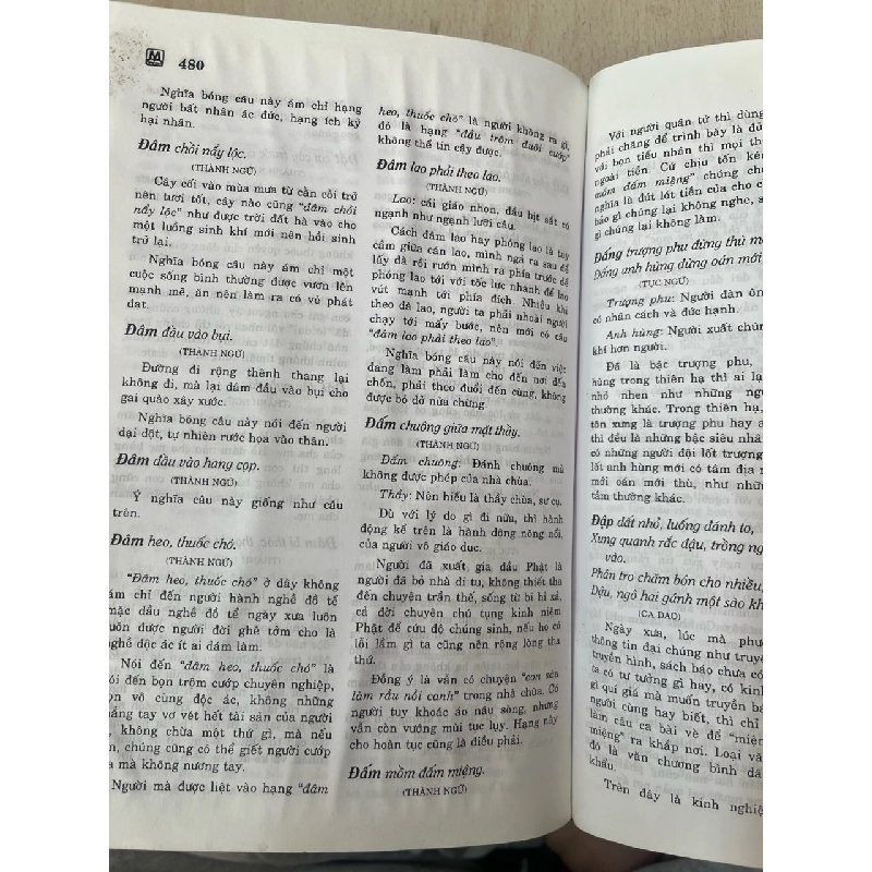 Từ điển thành ngữ, tục ngữ cao dao Việt Nam - Việt Chương 602548