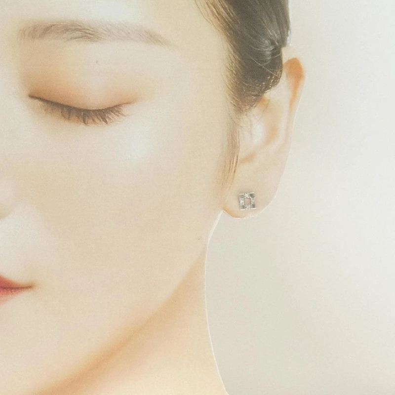 PT900 Bông tai kim cương 0.08CT - Hàng hiệu Authentic 870296