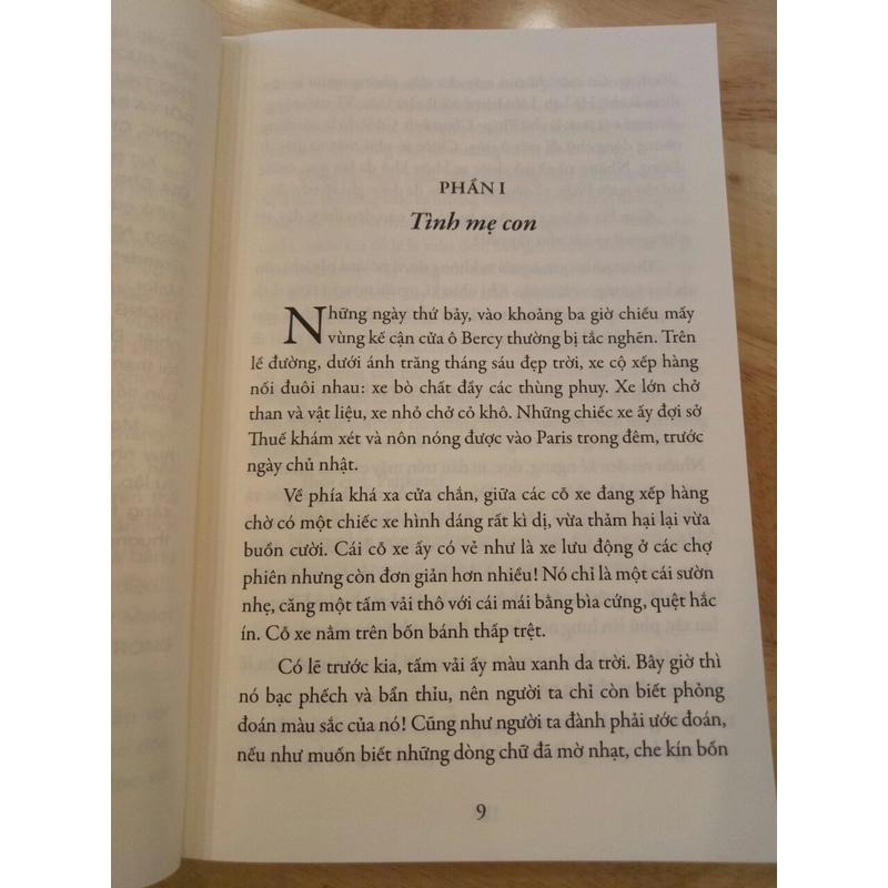 Trong gia đình - tác giả Hector Malot 539219