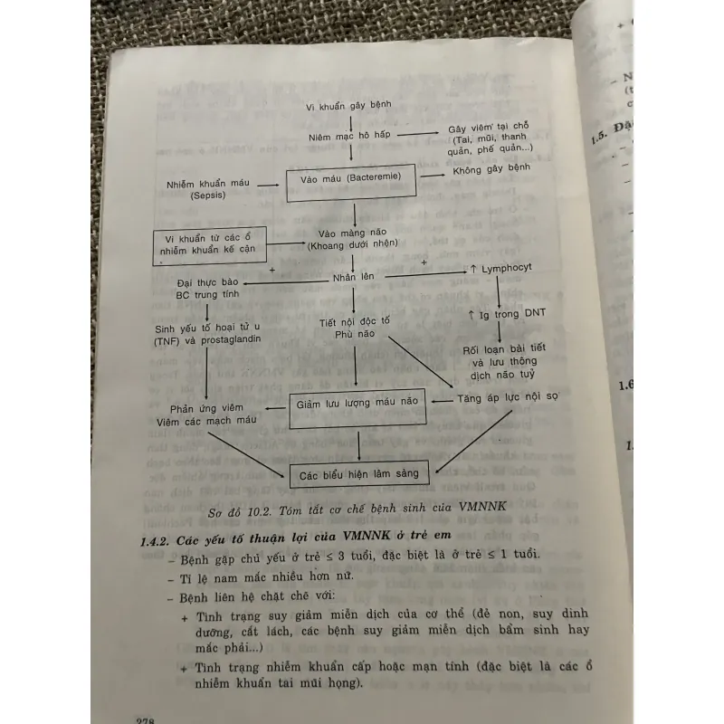 Bài giảng Nhi khoa 2 - 300 trang khổ lớn  1022815