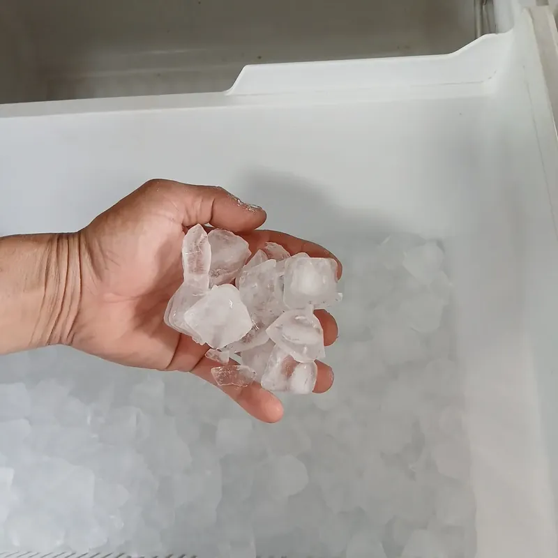 Tủ lạnh mitsubishi 320 lít inverter có làm đá tự động 675018