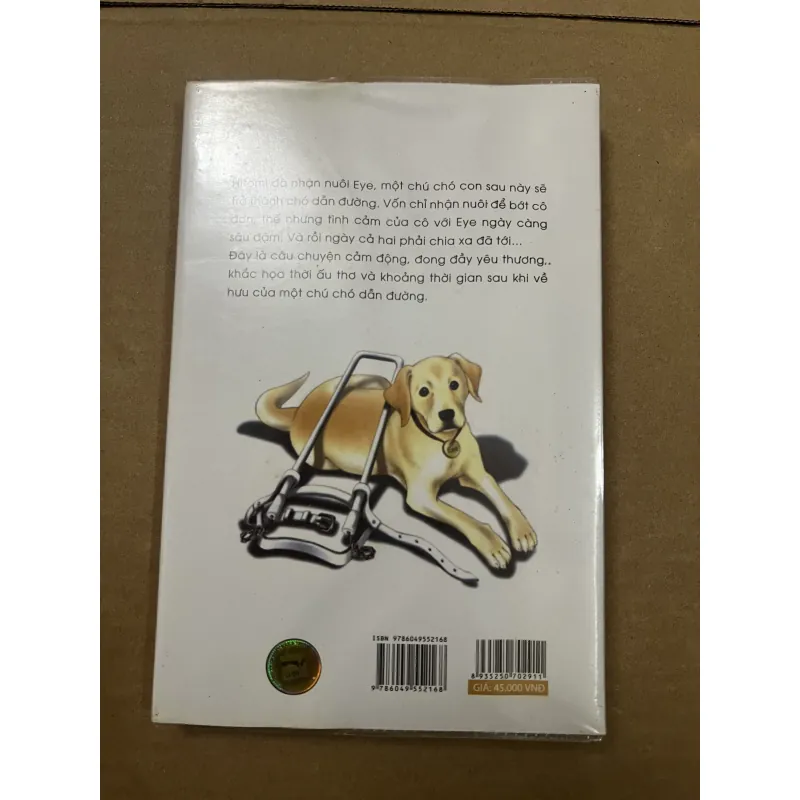 My Eye Saya Miyauchi 999098