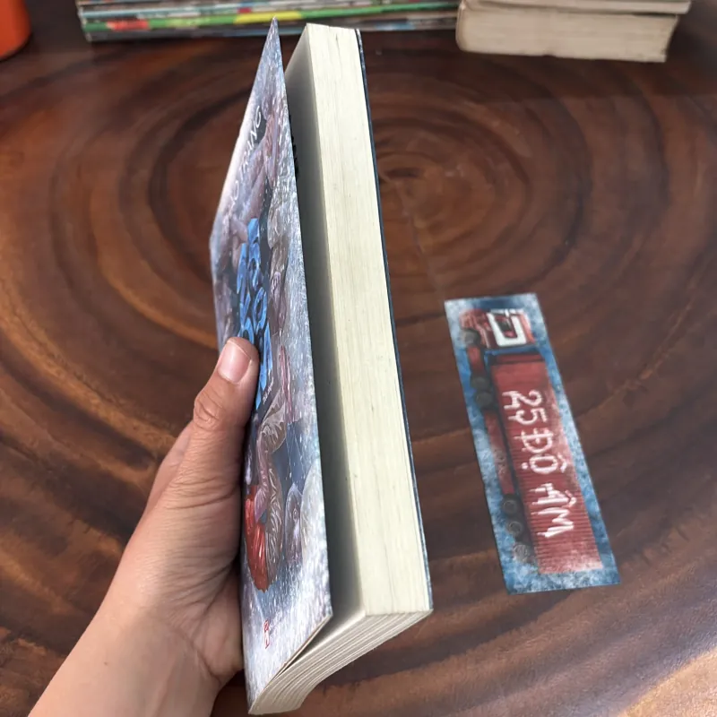 II Tiểu Thuyết: 25 Độ Âm - Thảo Trang - 2024 999239