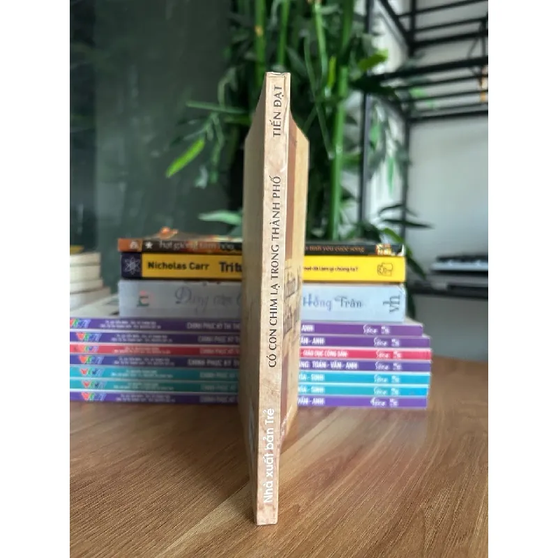 Có con chim lạ trong thành phố - Tiến Đạt 573273