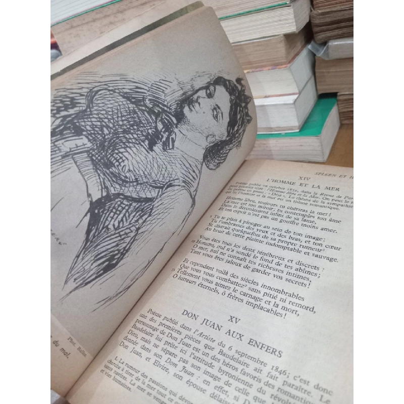 Les Fleurs Du Mal - Charles Baudelaire 604221