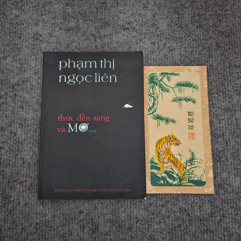 Thức đến sáng và mơ - phạm thị ngọc liên 737029