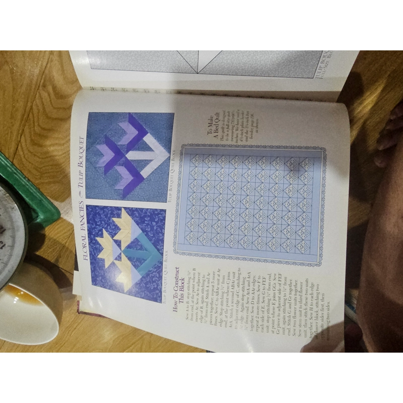 101 full size Quit blocks and borders (bìa cứng, in màu)
150k 501066