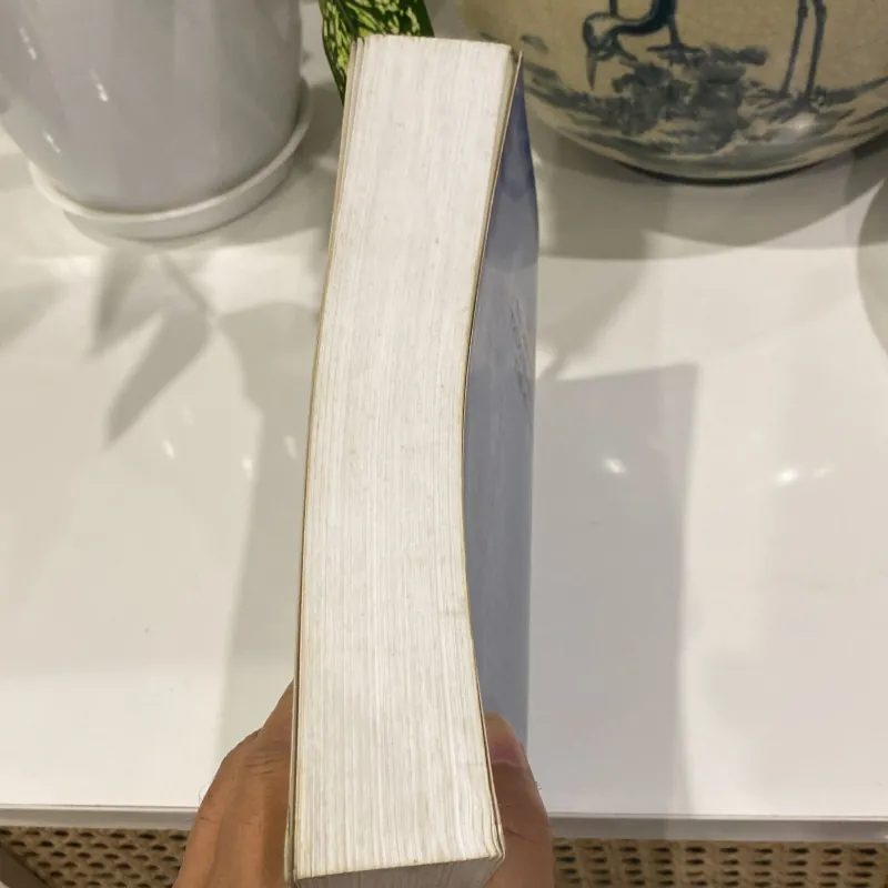 VIỆT NAM TRONG HỆ THỐNG THƯƠNG MẠI CHÂU Á THẾ KỶ XVI-XVII (XB 2007) 1000865