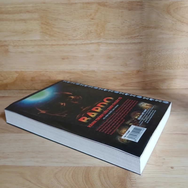 BARDO Hành Trình Liễu Sinh Thoát Tử - Drukpa Việt Nam 461365