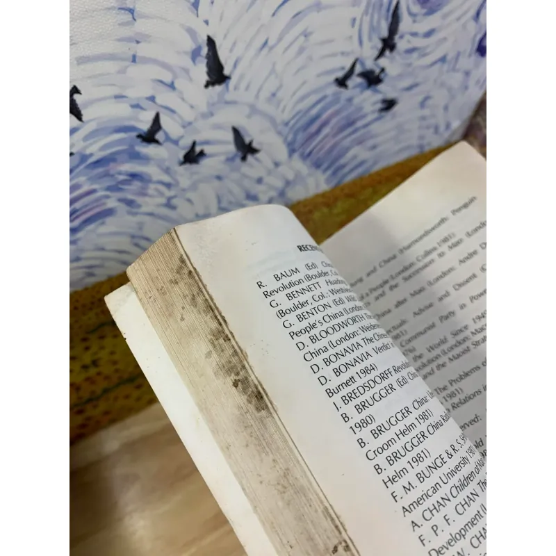 Politics in China: From Mao to Deng 926220