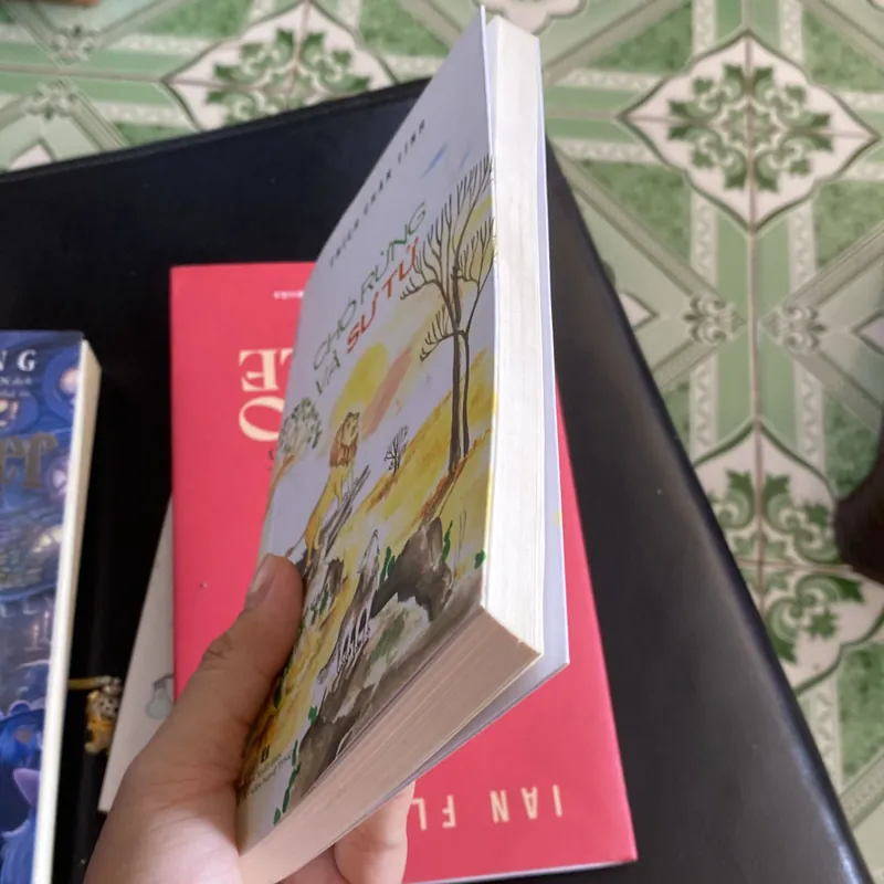 Chó và sư tử  711379