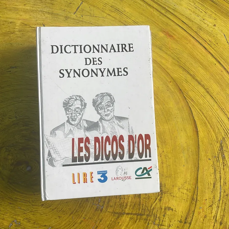 DICTIONNAIRE DES SYNONYMES- LES DICOS D’OR 697196