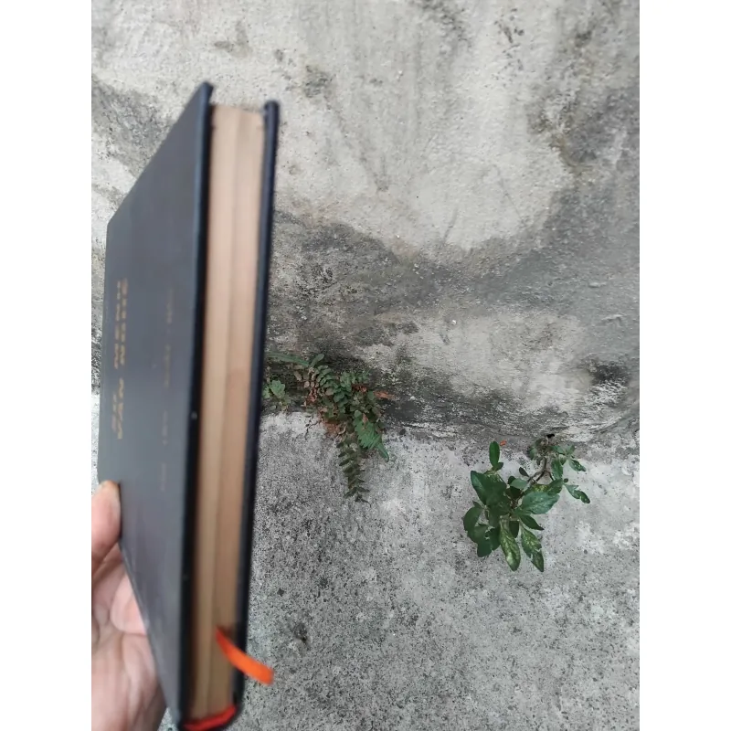 Sứ mệnh văn nghệ của Nguyễn Nam Châu 1026176