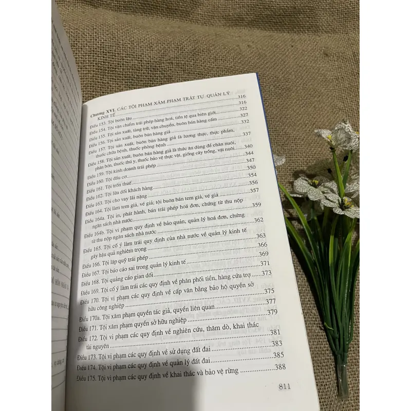 ThS. Đinh Thế Hưng - TS. Trần Văn Biên- BÌNH LUẬN KHOA HỌC BỘ LUẬT HÌNH SỰ NĂM 1999  797720