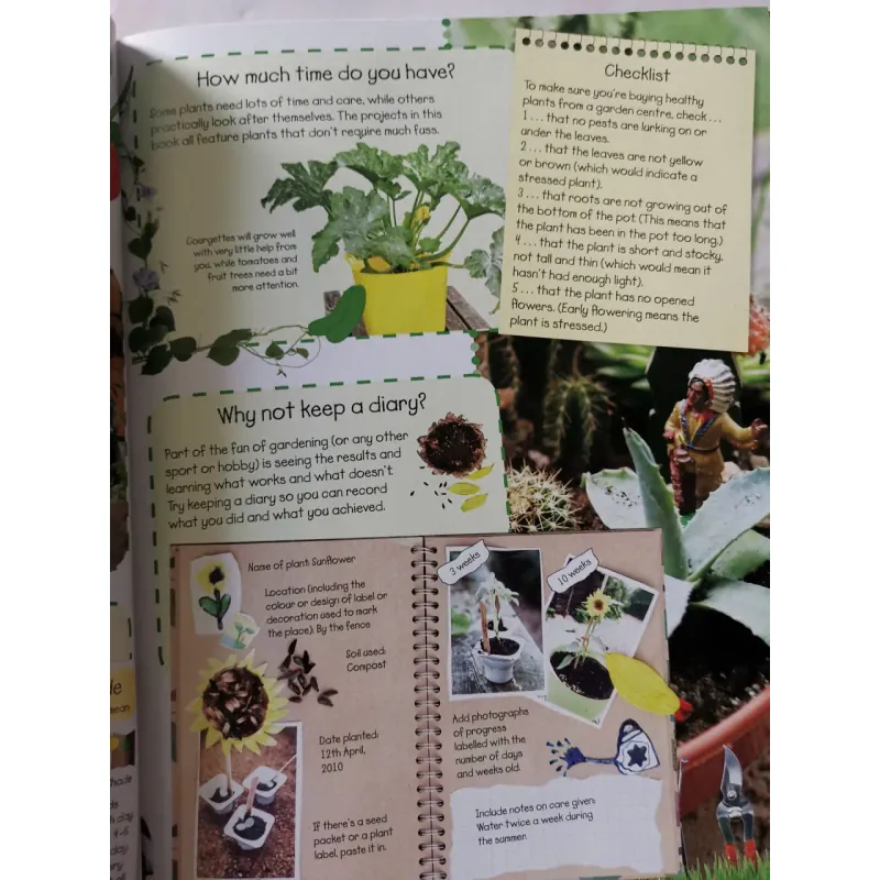 Ready, Steady, Grow! Quick and Easy Gardening Projects 1002061