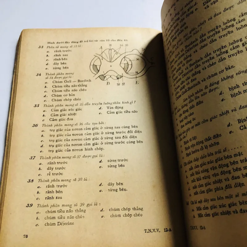 📘 TRẮC NGHIỆM VẠN VẬT 12A 571061
