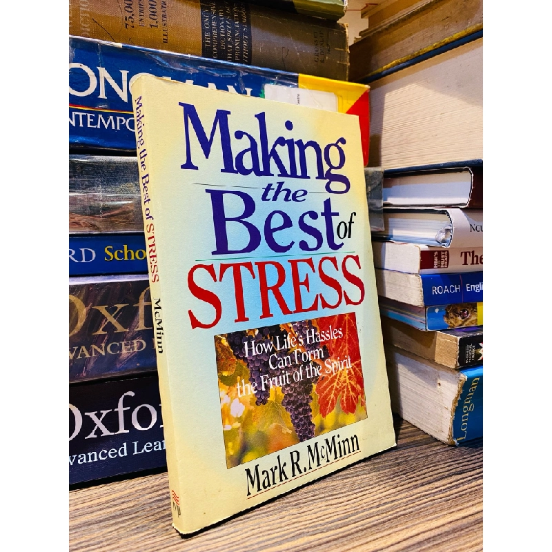 MAKING THE BEST STRESS - MARK R. McMINN 179821