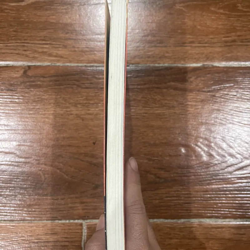 Nước Ý, câu chuyện tình của tôi - Trương Anh Ngọc (7) 759916