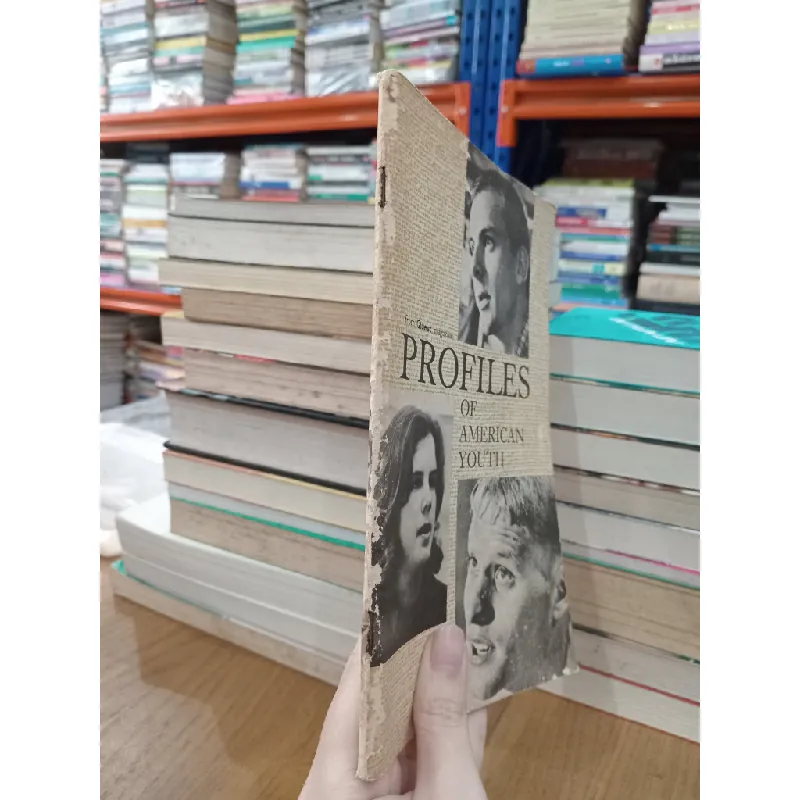 Profiles of American youth 698853