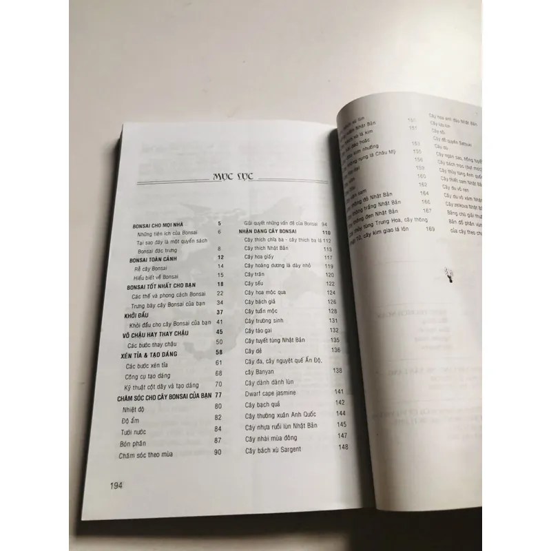 BONSAI CHO MỌI NHÀ 711666