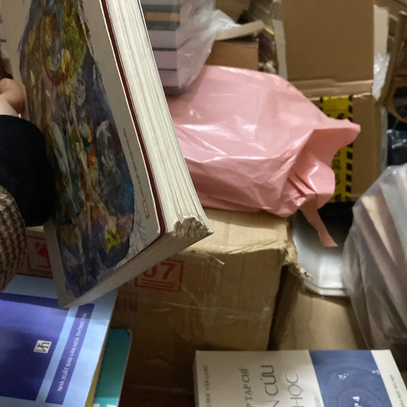 Viết và đọc chuyên đề mùa đông 2022 755333